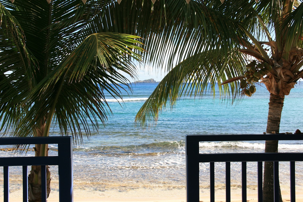 vacanze di lusso spiaggia di saint barth con palme